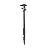 Trépied Ultra Compact Perche