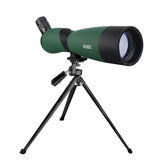 longue vue ornithologie oiseaux